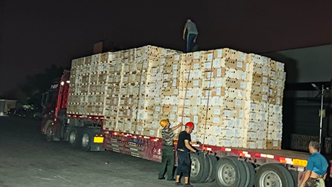 全員協作迎戰訂單